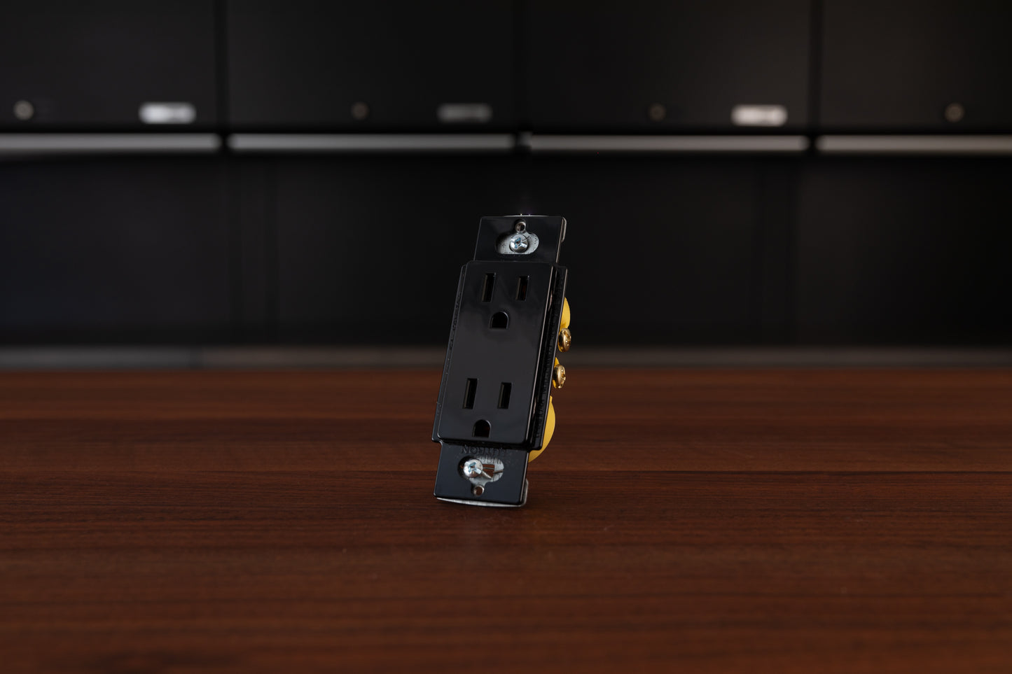 Lutron 15 Amp Receptacle