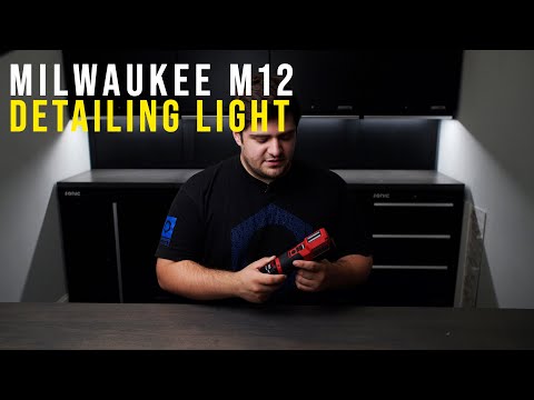 Milwaukee Paint & Detailing Color Match Light
